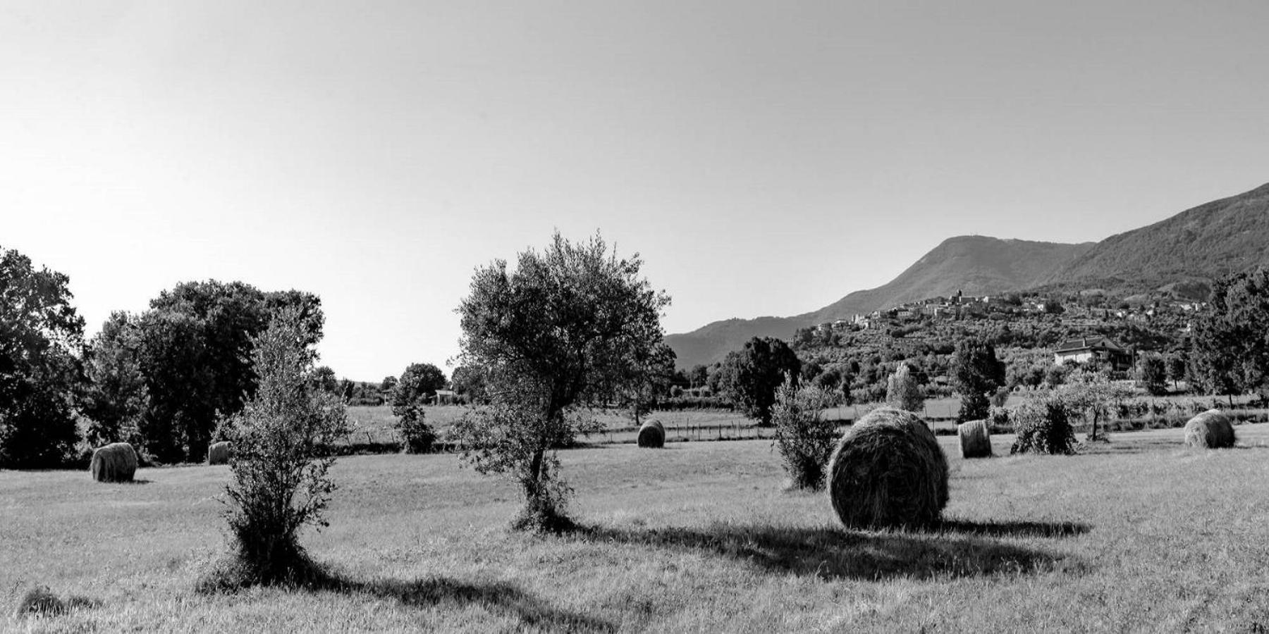 B&B Vico Suites Vico nel Lazio Buitenkant foto